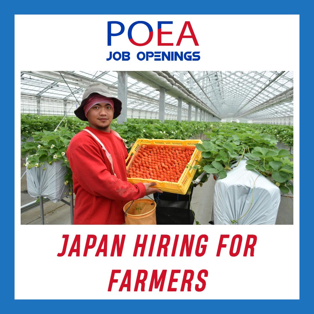Japan farmers
